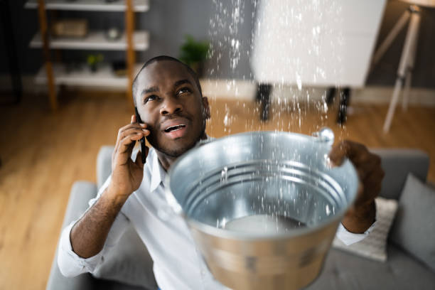 Best Mold removal after water damage  in Mckinley, PA