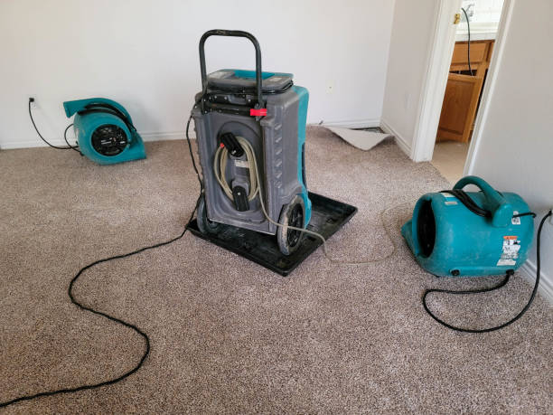 Best 24/7 water damage repair  in Mckinley, PA