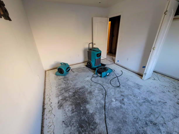 Best Fire Damage Restoration  in Mckinley, PA