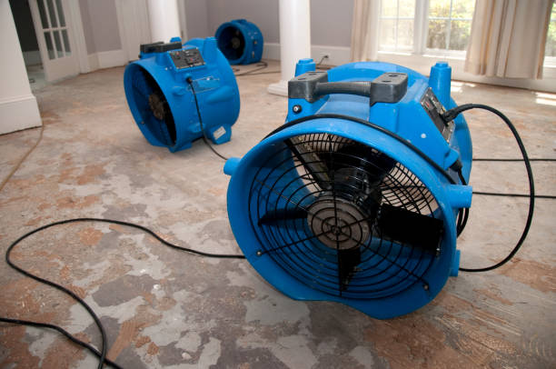 Best Flood damage cleanup  in Mckinley, PA