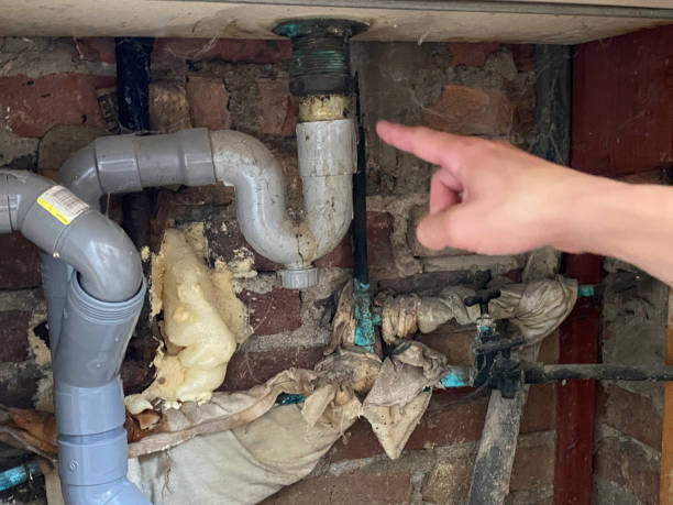 Best Professional water damage repair  in Mckinley, PA